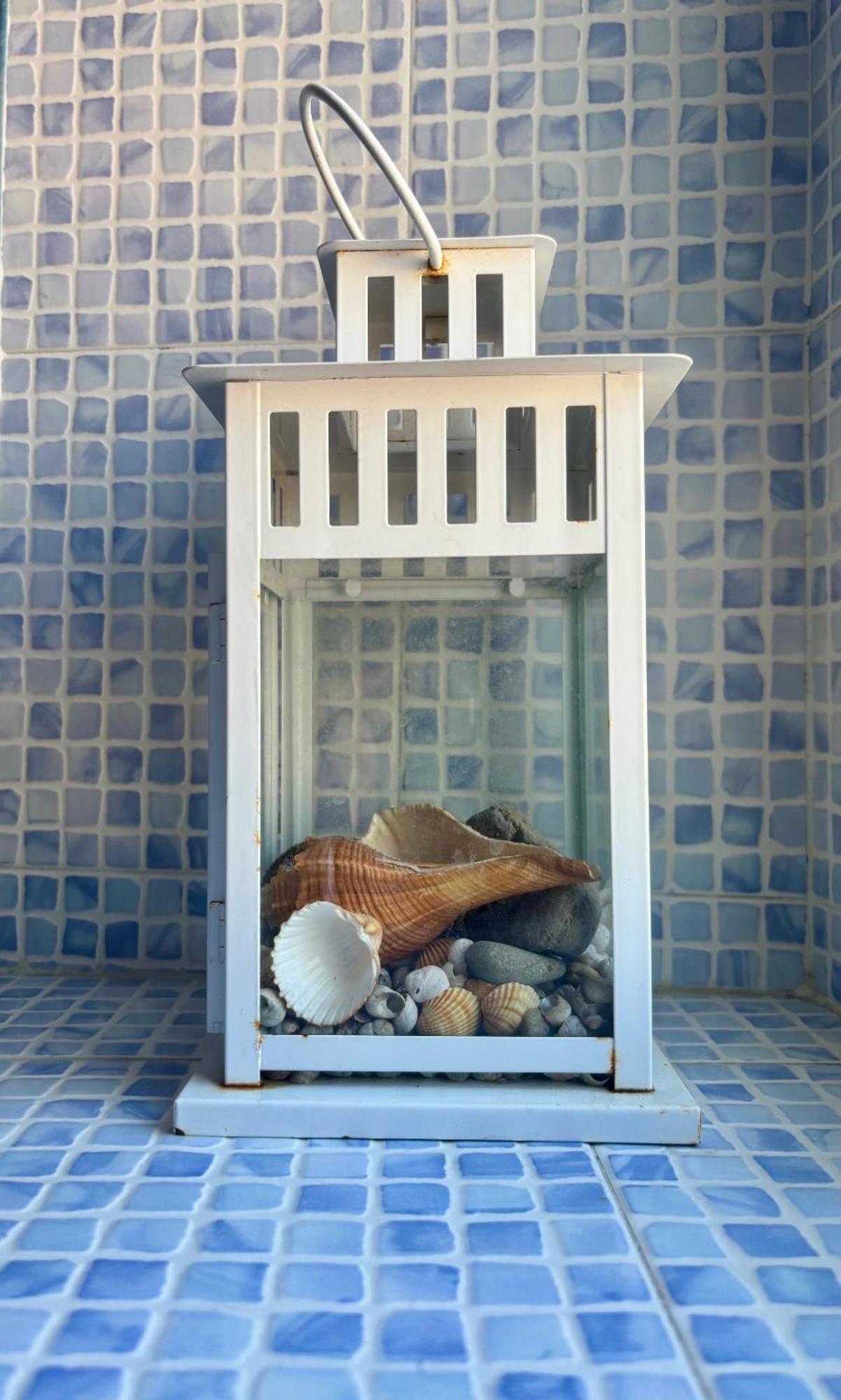 Apartment Domus Naples